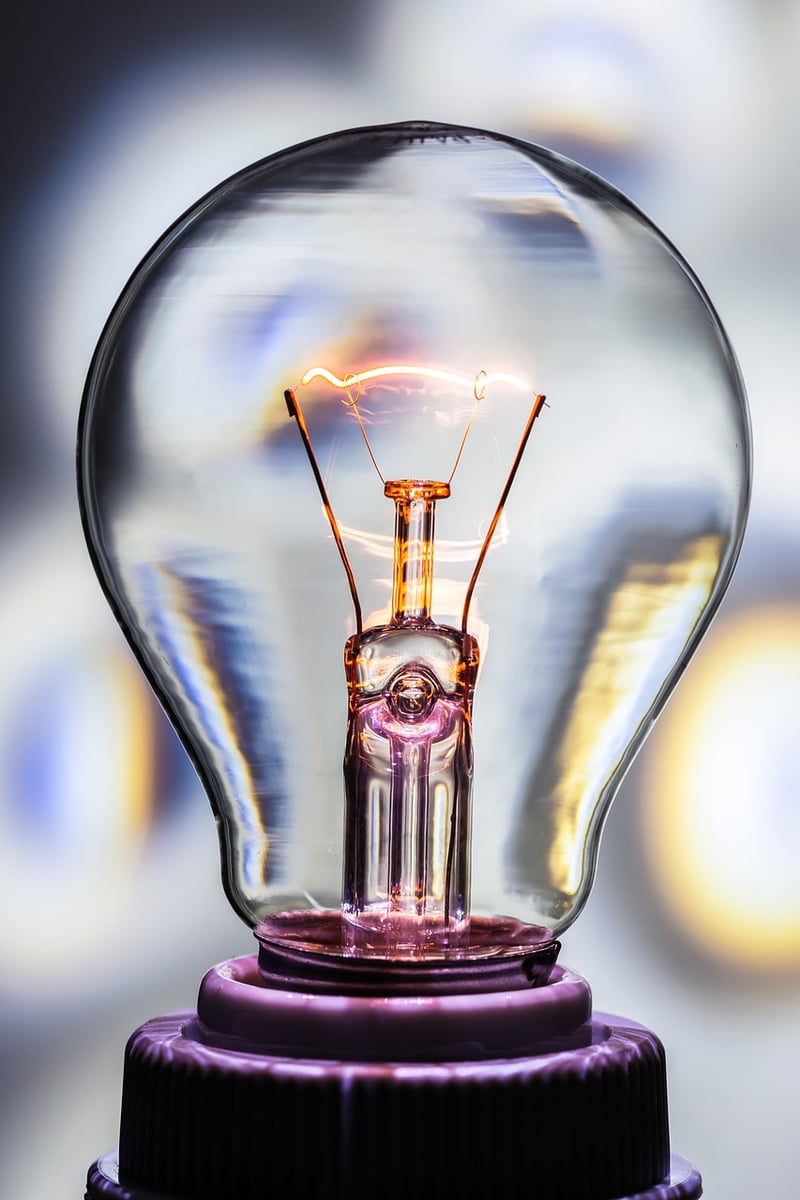 Recycled Bulbs